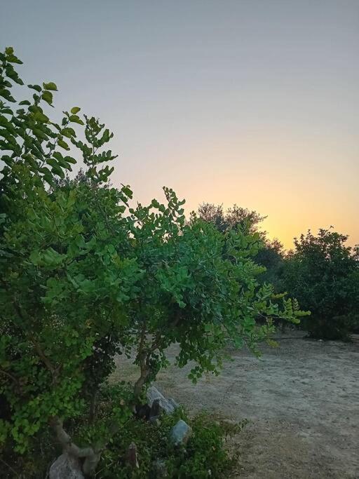 Sofia'S Summer House Koróni المظهر الخارجي الصورة