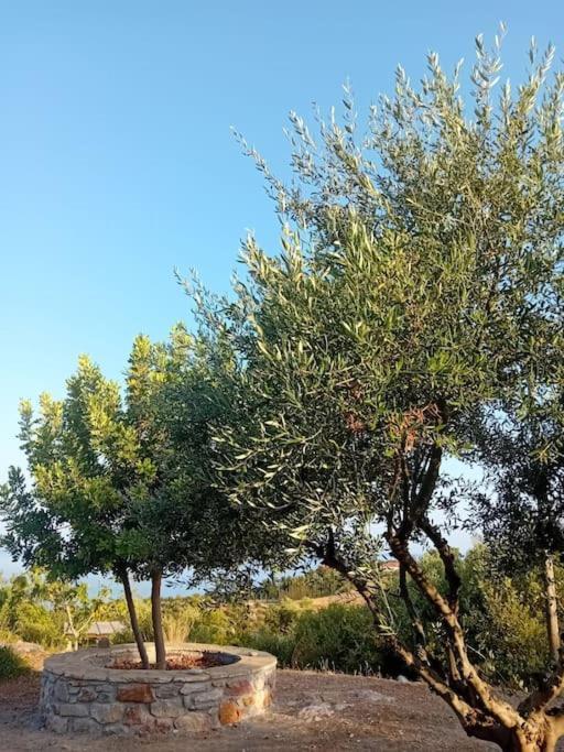 Sofia'S Summer House Koróni المظهر الخارجي الصورة